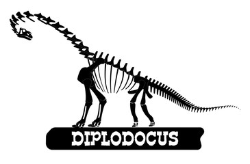 Dinosaur skeleton. Diplodoc. Silhouette on isolated background. Sticker, magnet. Vector