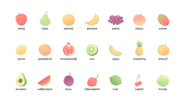 Vector color veggy fruit set. Modern style flat illustration with text under each picture isolated on white background. Design elements for web, vegeterian, summer, menu, vitamins.
