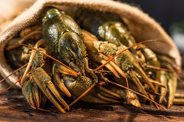 Raw crayfish with beer on wooden background