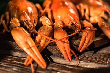 Several boiled crayfish on rustic wooden background close