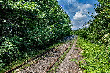 Old railway tracks overgrown with plants. Railway traction in Central Europe not used.