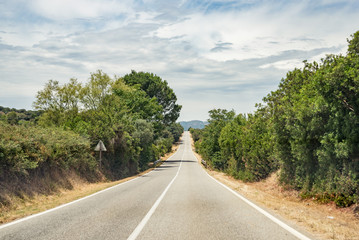 Fototapeta na wymiar Straight road with white lines and trees and shrubs on the side of the road to Oliena village, Nuoro Province, island Sardinia, Italy