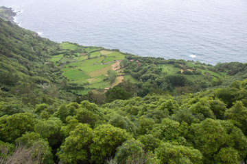 Fototapeta premium Coast view of Faja Grande, Flores Island, Portugal