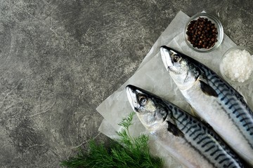 Fresh tasty raw mackerel with dill, lime, sea salt and black pepper. Top view. Copy space. 