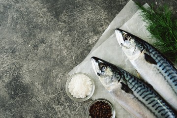 Fresh tasty raw mackerel with dill, lime, sea salt and black pepper. Top view. Copy space. 