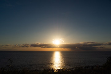 Fototapeta premium OLYMPUS DIGITAL CAMERA