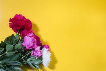 colorful peony bouquet on a yellow background
