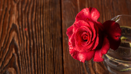 Red rose in vase on old wooden background, Vintage style