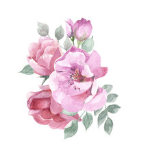 Flower watercolor illustration. Delicate rose branch with lowers isolated on white background. Illustration for design, background or print.