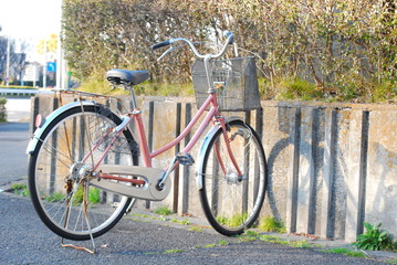 Fototapeta premium 自転車
