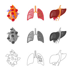 Isolated object of biology and scientific sign. Set of biology and laboratory vector icon for stock.
