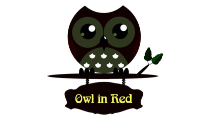 owl on a white background