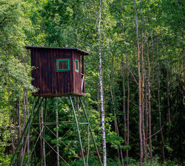 hunter hut in the forest