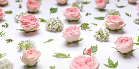Horizontal web banner flower pattern: rosebuds, hawthorn flowers, rowan leaves on a white background