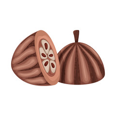 Isolated object of seed and chocolate symbol. Set of seed and fresh stock symbol for web.