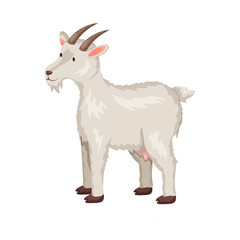 Vector design of goat and pet icon. Set of goat and milk stock symbol for web.