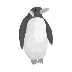 Vector design of penguin and white sign. Set of penguin and wild stock symbol for web.