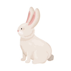 Isolated object of rabbit and pet icon. Set of rabbit and bunny stock symbol for web.