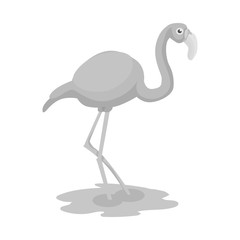 Vector design of flamingo and pink symbol. Set of flamingo and funny vector icon for stock.