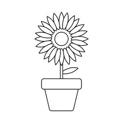 sunflower in pot plant isolated icon
