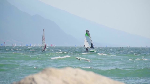 Windsurfers on the Garda Lake