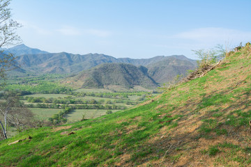 Naklejka premium tepames