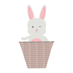 cute little rabbit with basket straw