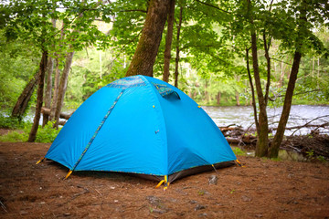 Tent camping in the woods at daylight in summer