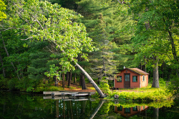 Summer home cabin in the woods at the lake