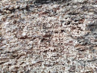 the background of the cement wall that has not been smoothed