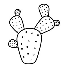exotic cactus plant natural icon
