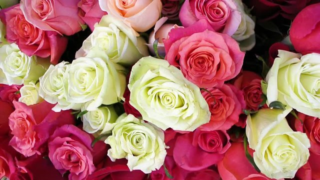 Pan over white and red pink roses at florist shop - fresh gift ideas for the loved ones