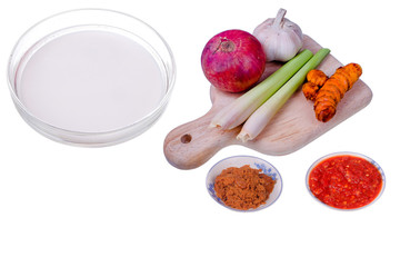 Onion, garlic  coconut milk ,tumeric,  kerisik,  lemon grass and chili  on white background