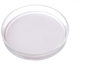  Coconut milk isolated on white background