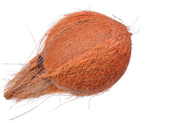 Coconut isolated on white background