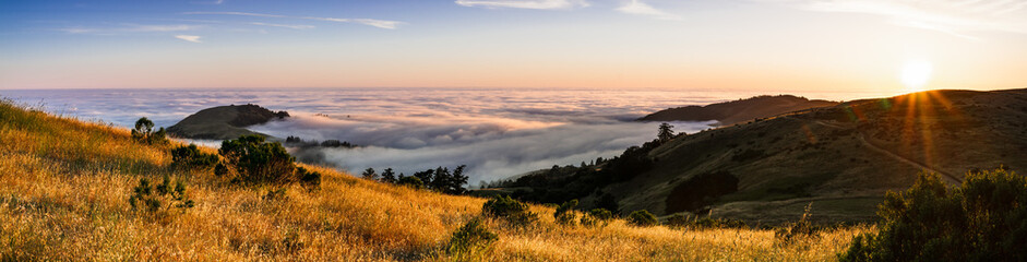 Panoramic view at sunset of valley covered in a sea of clouds in the Santa Cruz mountains, San Francisco bay area, California - obrazy, fototapety, plakaty