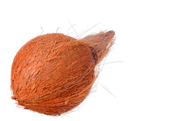 Coconut isolated on white background