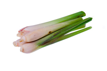 Lemon grass isolated on white background