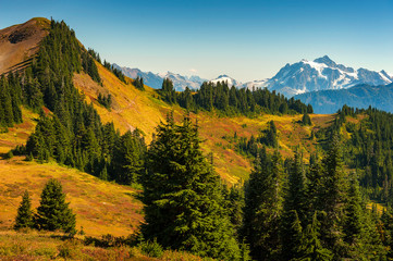 Mt. Shucksan As Seen From The Excelsior Ridge Trail. On this trail Mount Shuksan seems close enough to touch just across the valley, and wildflowers are everywhere in summer.