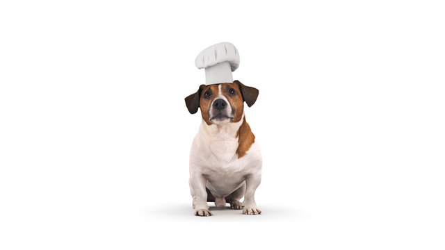 Unleash the Truth: Can Dogs Safely Savor Mozzarella Cheese? Discover the truth about whether dogs can safely eat mozzarella cheese. Learn the nutritional benefits, precautions, and potential side effects. Read now