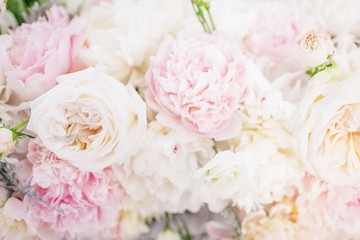 Beautiful delicate peony flowers. Floral background, light pink , soft color