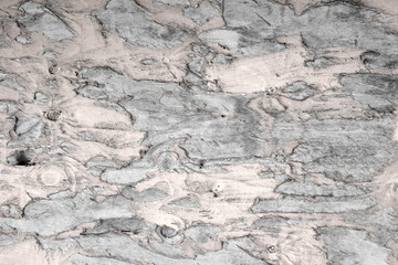 Background image of close up peeled white textured wooden building exterior surface