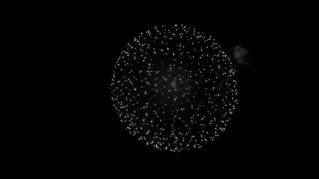 the fireworks in the night sky