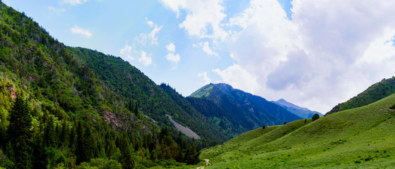 Panorama of a mountain valley in the summer. Fabulous view of the mountain range and the road extending into the distance of the ridge, amazing nature, summer in the mountains. 