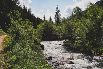 Obraz premium Mountain forest road landscape. Green mountains with tall firs. The road goes up the mountain river