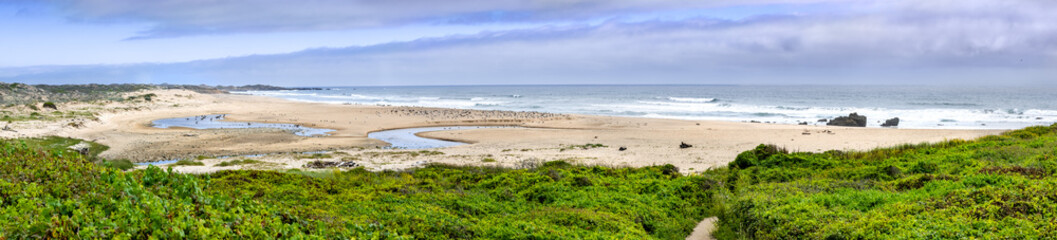 Panoramic view of Gazos Creek Año Nuevo State Park beach on the Pacific Ocean coastline, California