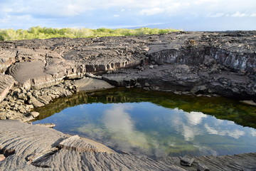 PAISAJES DE GAL&Aacute;PAGOS
