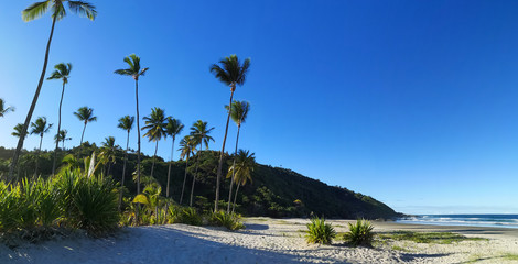 Serra Grande beach in Bahia - Tropical beach in northeastern Brazil © Gustavo