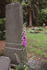 Alte Gräber auf dem Parkfriedhof Hamburg Ohlsdorf