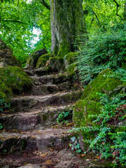 footpath park stairs